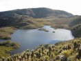 /album/fotogaleria/laguna-paramo-del-sol-jpg/